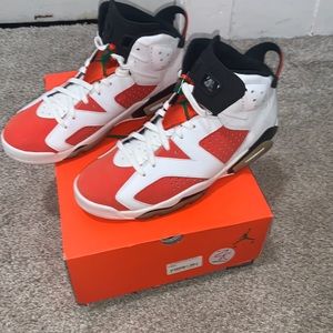 Nike Air Jordan 6 "Gatorade" (Used)